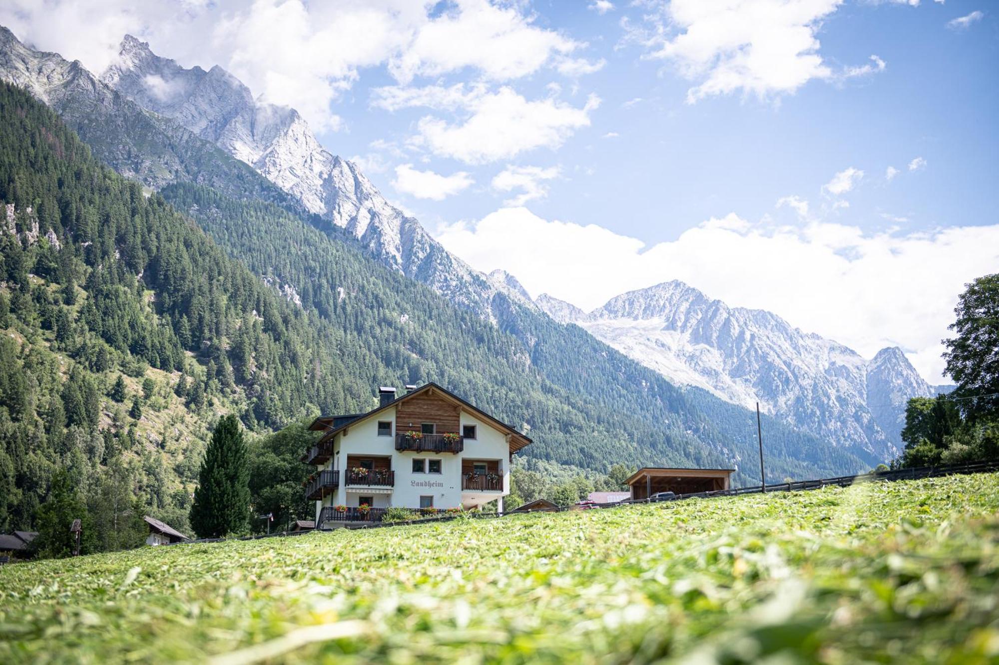 Apartments Nature Apis Landheim Anterselva di Mezzo Exterior photo